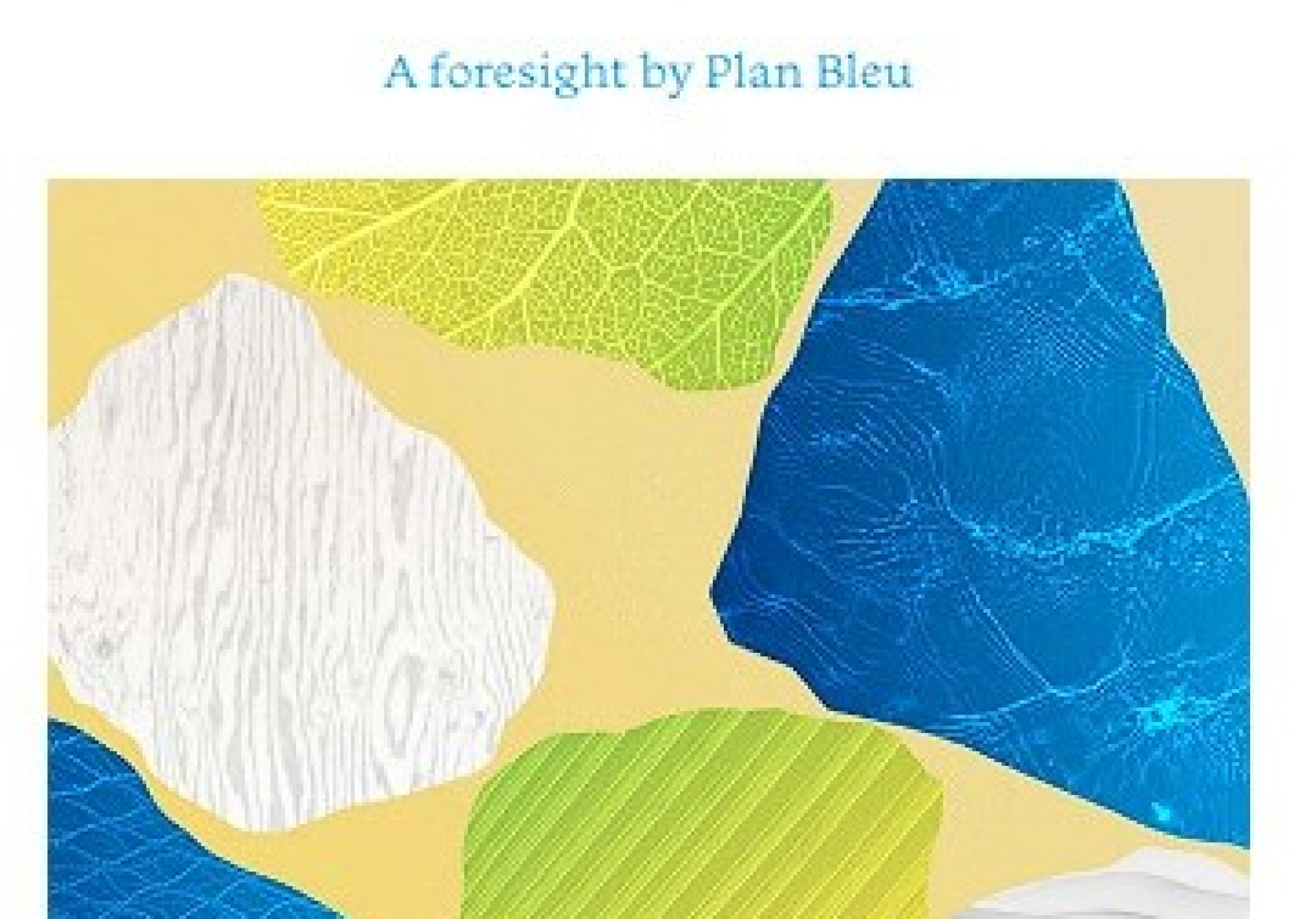 MED 2050 (THE MEDITERRANEAN BY 2050) A foresight by Plan Bleu
